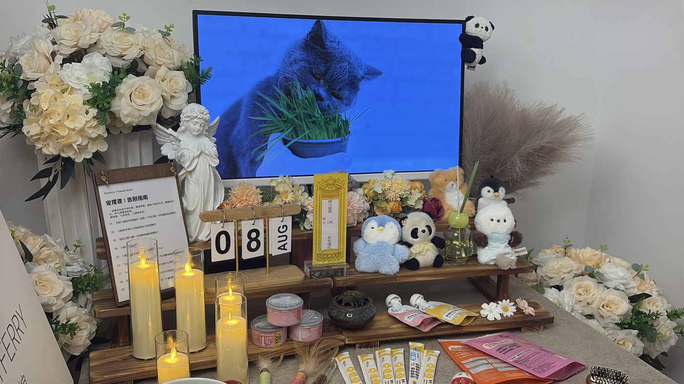 节日里的告别