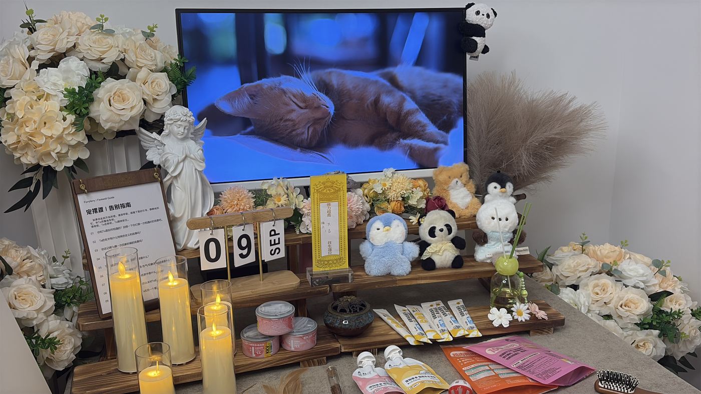 二、每一笔钱花在哪里