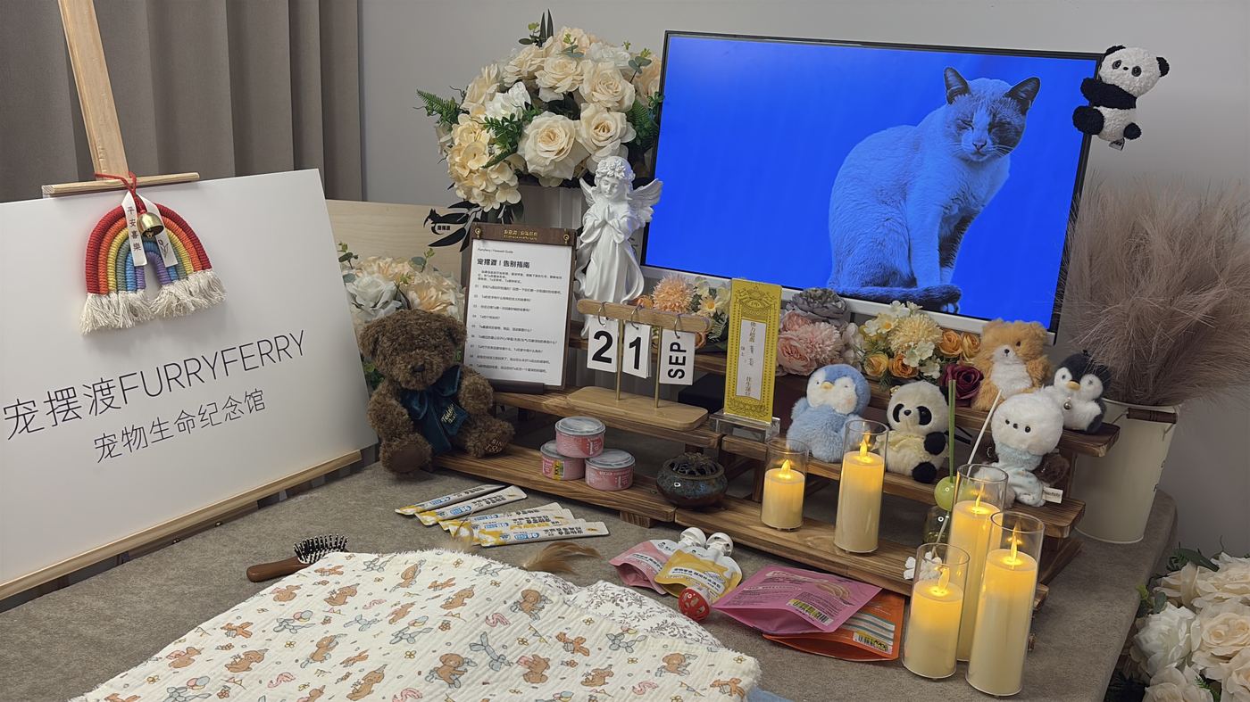 如何面对宠物离世的悲伤？写给嘉兴养宠人的心理支持