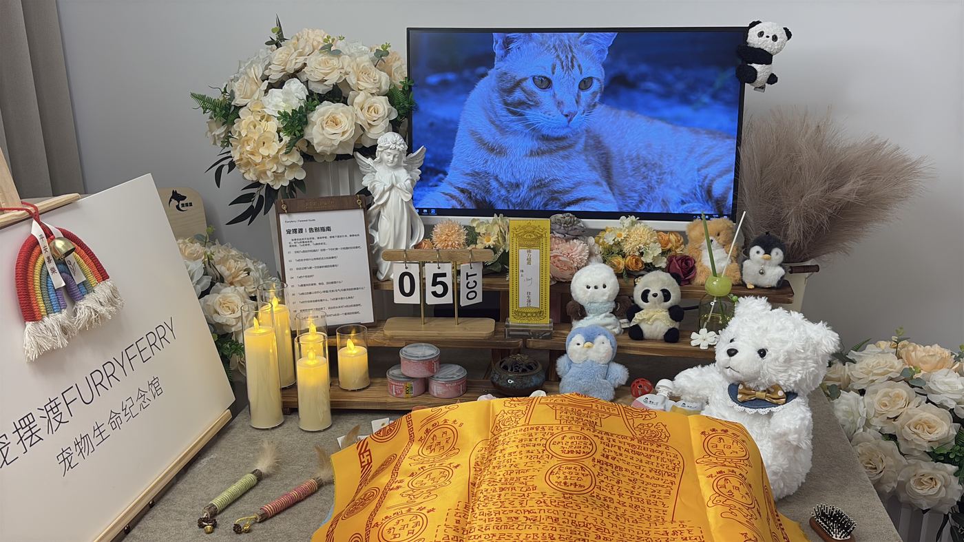嘉兴宠物告别厅布置：如何给禾城家属一个体面的告别
