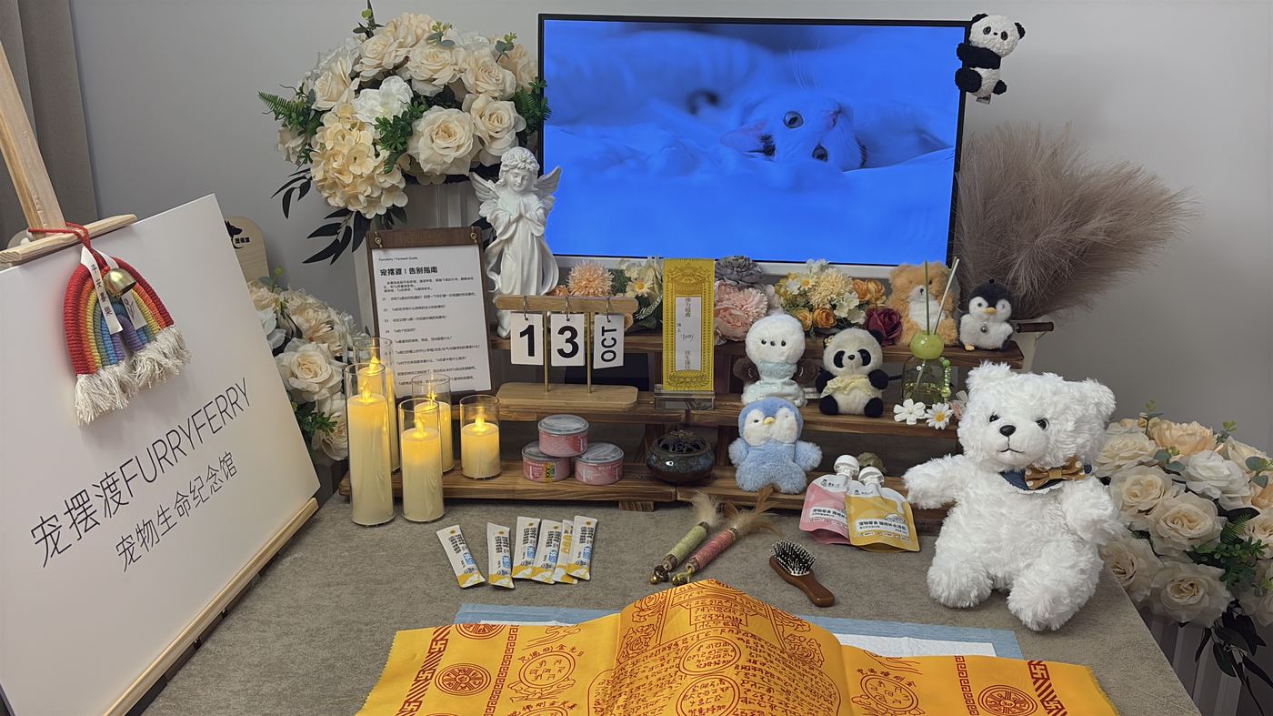 宠物纪念品怎么选？嘉兴常见纪念方式盘点